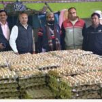 अंडे खाने वाले सावधान, 45000 अंडे जप्त ,फूड सेफ्टी विभाग की बड़ी कार्यवाही