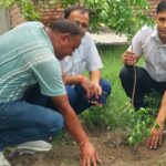 रुड़की मंडी समिति द्वारा वृक्षारोपण