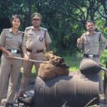 अवैध कच्ची शराब का धंधा बिल्कुल बर्दाश्त नहीं